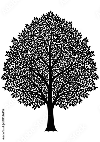 Black and white silhouette illustration of a mature deciduous tree with a full, dense canopy isolated on