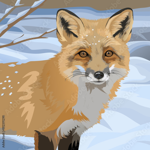 Snow fox