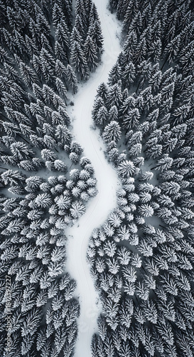 Snowy winding road going through dense forest from above in winter season aerial