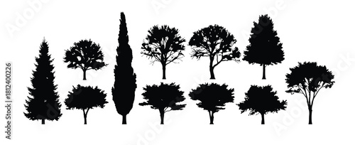 Silhouette collection of various tree types on white background