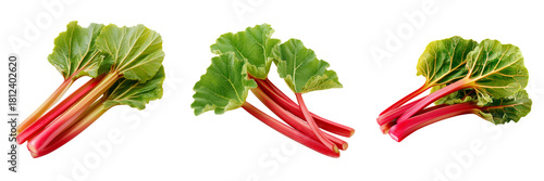 Set of Close-up of fresh rhubarb stalks and leaves displaying natural color and texture on transparent png background. Ai generated