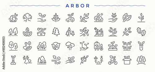 Arbor modern icon set. Basil icon collection. Contain linear symbols nature, leaf, garden, leaves, plant, herb, basil and more. Editable vector art.