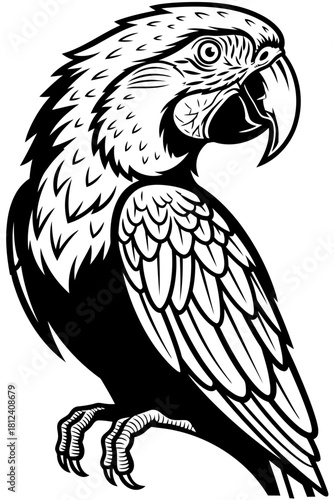 Black and white illustration of a detailed macaw parrot perched