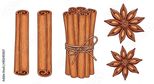 A colorful illustration of cinnamon sticks and star anise on a white background.