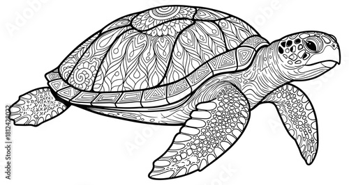 Intricate sea turtle line art, black and white illustration with patterned shell and flippers, detailed coloring page design