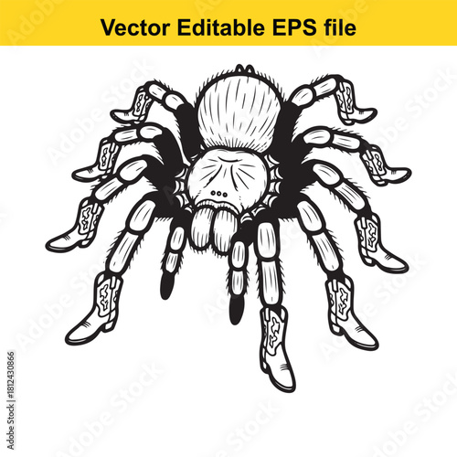 Funny cartoon black and white tarantula spider wearing cowboy boots isolated on vector editable eps file