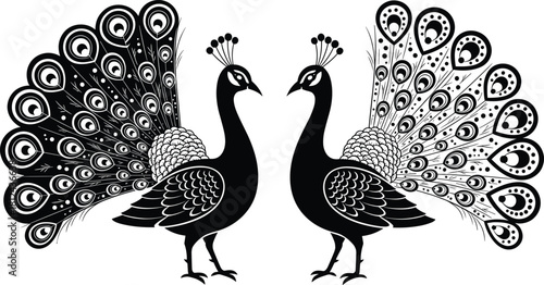 Symmetrical peacock design, black and white illustration, decorative bird art, elegant tail feathers, intricate pattern, traditional motif, flat vector illustration