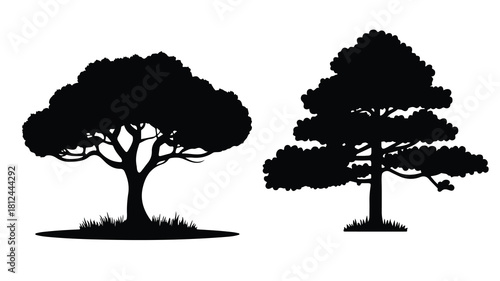 vector tree silhouette