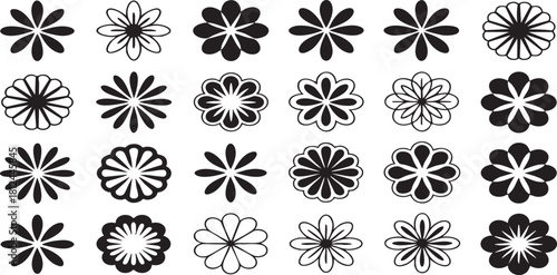 Collection of black and white floral graphic elements
