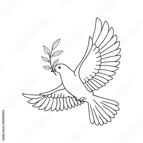 Line Art Drawing Of A White Dove Carrying An Olive Branch bird peace