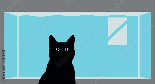 Cute black domestic kitten portrait with white eyes silhouette on window