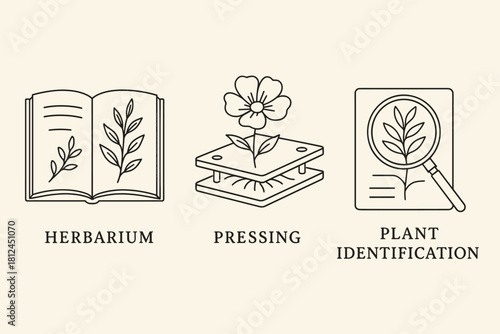 Herbarium, Plant Pressing & Botanical Identification Icons