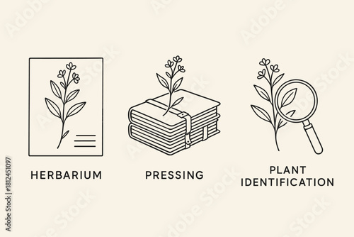 Herbarium & Plant Identification Line Illustrations