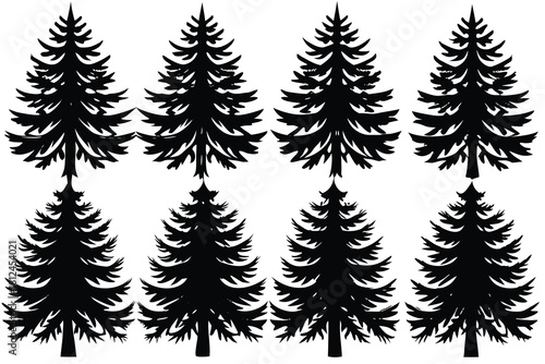 Hemlock tree icon silhouette vector with white background