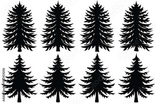 Hemlock tree icon silhouette vector with white background
