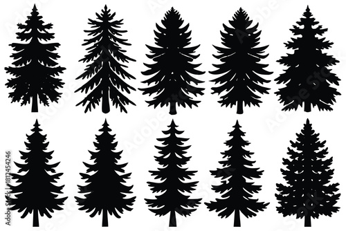 Hemlock tree icon silhouette vector with white background