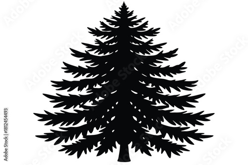 Hemlock tree icon silhouette vector with white background