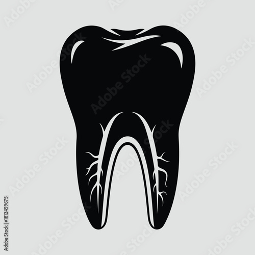 Silhouette anatomical tooth cross section in black and white vector illustration
