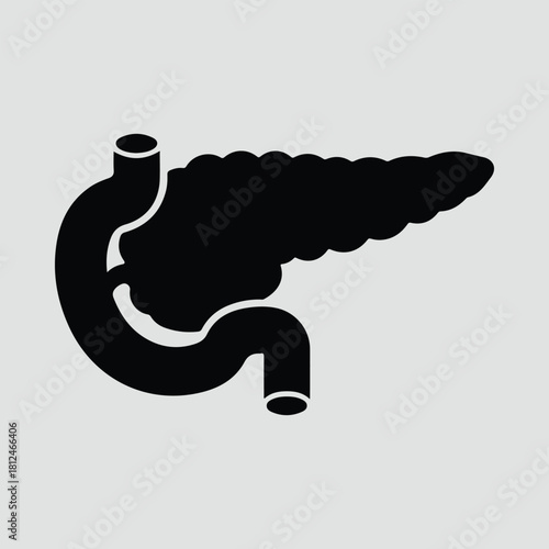 Silhouette human pancreas organ anatomy digestive system vector illustration