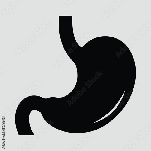 Silhouette human stomach organ anatomy medical diagram vector illustration