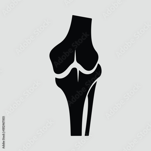 Silhouette knee joint anatomy black and white graphic vector illustration