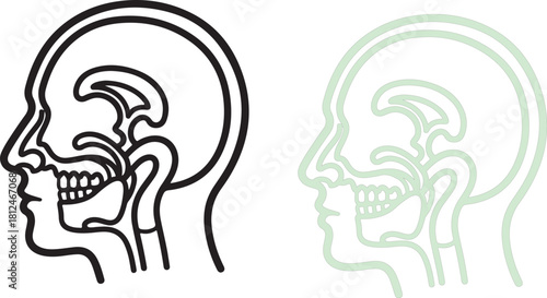 Anatomical Illustration of Human Head and Neck Cross-Section in Black and Green