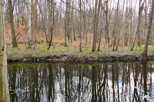 Cybina River Valley, a protected area with lush vegetation and hills, with an autumn view covered with fallen leaves
