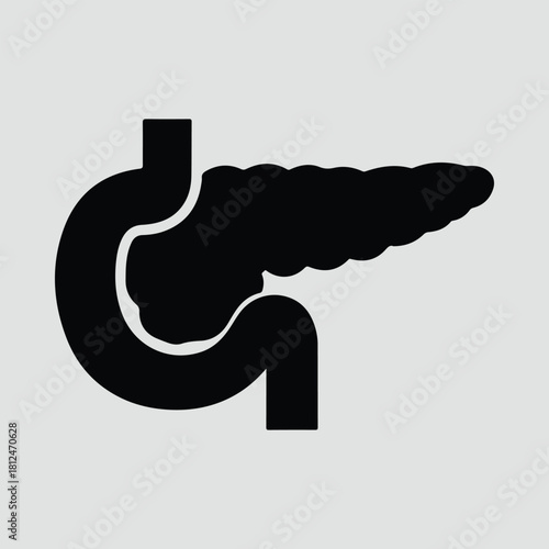 Silhouette pancreas and duodenum anatomical organ medical vector illustration