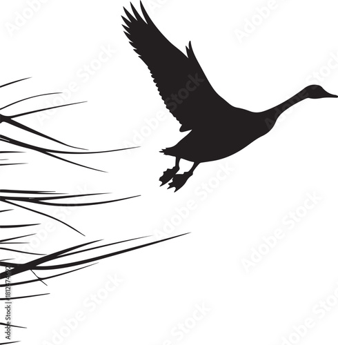 Black silhouette of a goose flying over reeds bird