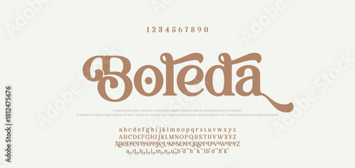 Luxury sans serif alphabet letters font and number. Classic Lettering Minimal Fashion Designs. Typography decorative wedding fonts and logo. vector illustration.