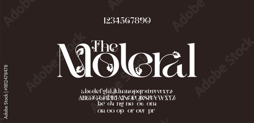 Elegant Font Uppercase Lowercase and Number. Classic Lettering Minimal Fashion Designs. Typography modern serif fonts regular decorative vintage concept. vector illustration