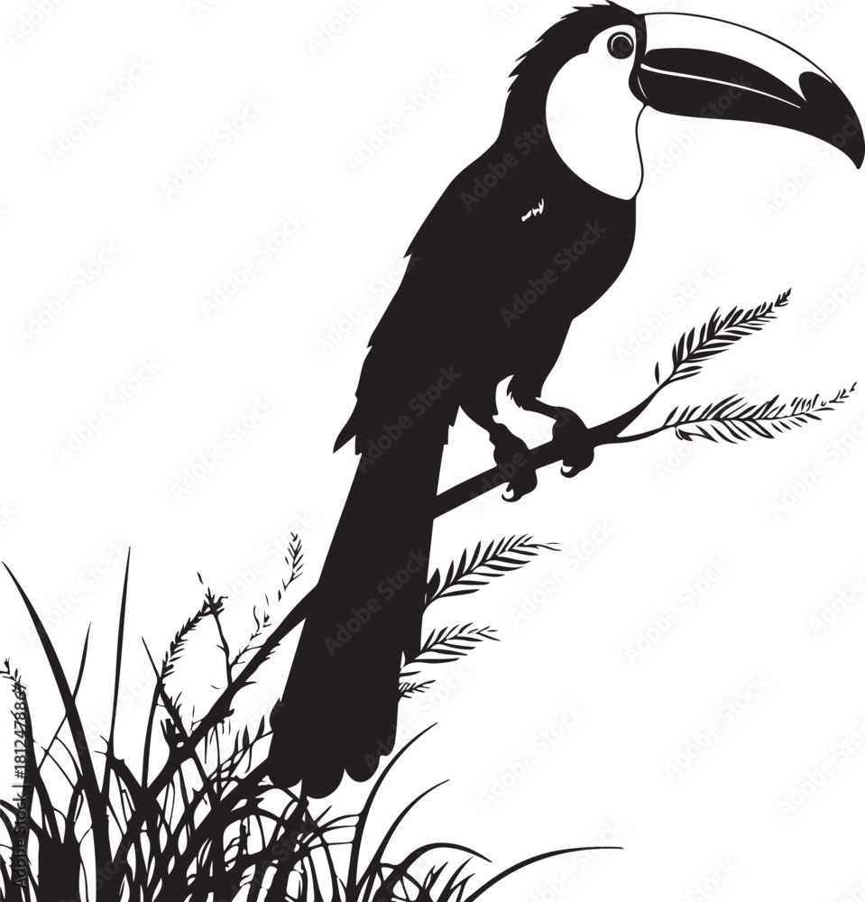 Obraz premium Black silhouette of a toucan perched on a branch with grass