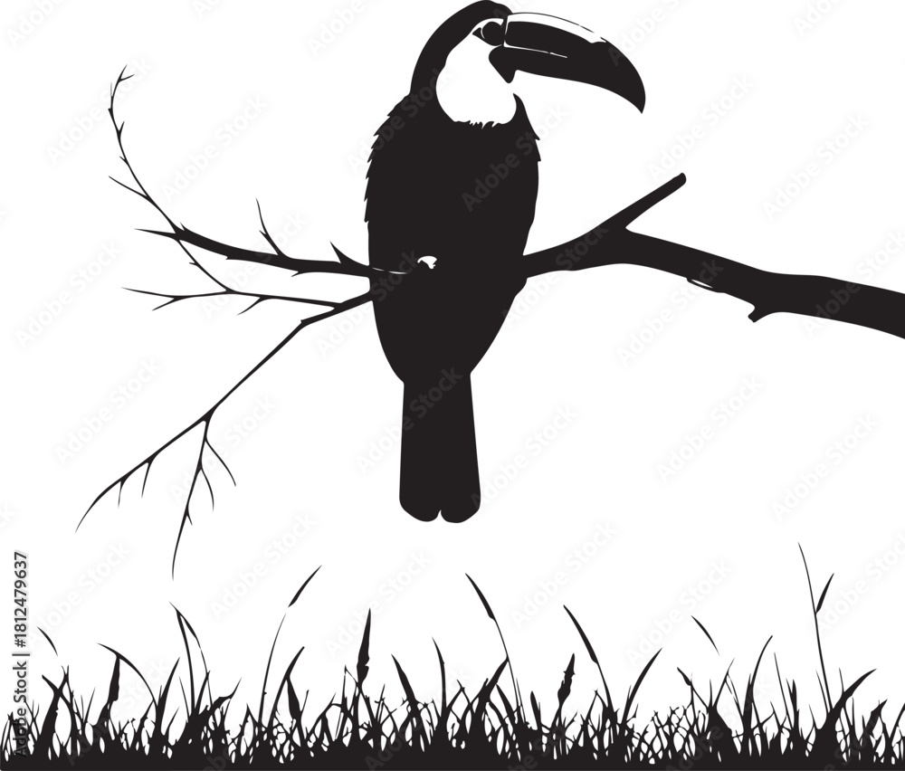 Obraz premium Black silhouette toucan bird perched on a tree branch above grass