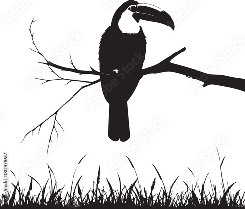 Black silhouette toucan bird perched on a tree branch above grass