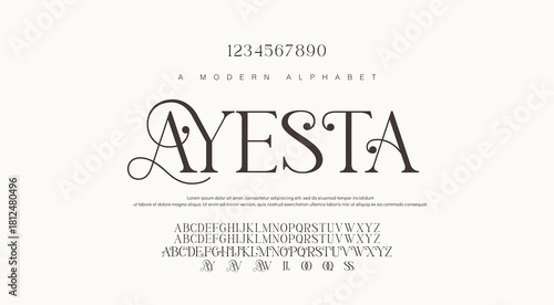 Luxury sans serif alphabet letters font and number. Classic Lettering Minimal Fashion Designs. Typography decorative wedding fonts and logo. vector illustration.