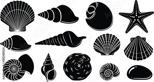 Collection of black vector seashells and starfish silhouettes isolated on white background for ocean logo, marine pattern, or beach design.