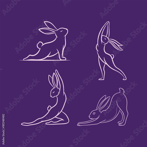 Rabbit bunny in yoga poses outlines silhouette set, Fitness exercise T-shirt Design Elements.