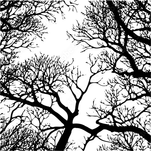 Black and white tree branches silhouette against a bright sky graphic
