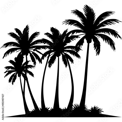 Silhouette of palm trees vector illustration tropical summer design
