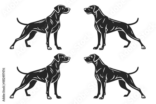 Doberman dog standing in different angles silhouette isolated on white background.