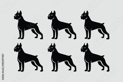 Doberman dog standing in different angles silhouette isolated on white background.
