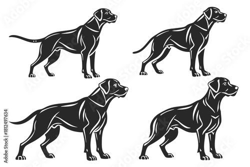 Doberman dog standing in different angles silhouette isolated on white background.