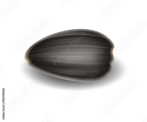 Sunflower seed isolated on white background, close-up