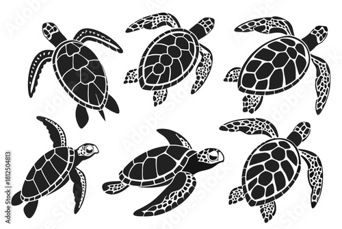 Minimal sea turtle outline icon set with vibrant colors