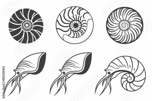 Minimalist icon set featuring nautilus shell and nautical elements