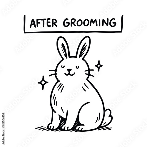Black-and-white cartoon illustration of rabbit with sparkles and “AFTER GROOMING” message in playful pet care theme
