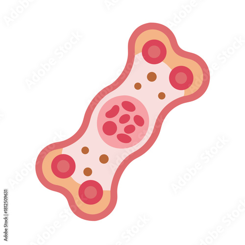 Stylized bone cell illustration with internal structures on a black background