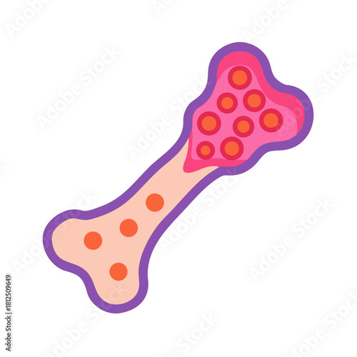 Vector illustration of a bone with marrow inside on a black background