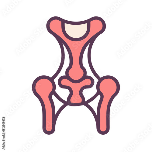 Vector illustration of human pelvic bone structure on a black background