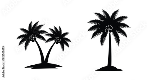 Silhouetted palm trees against a stark white background tropical imagery